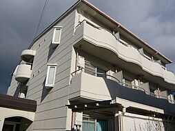 ニューハイム槙