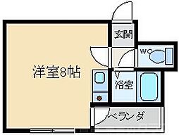 カレッジコート