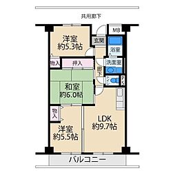 ルミネノヴァ菊田