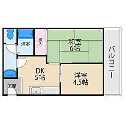 シャンティ池田