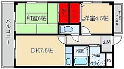 スタンドアップ忍ケ丘