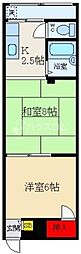 シラカバ
