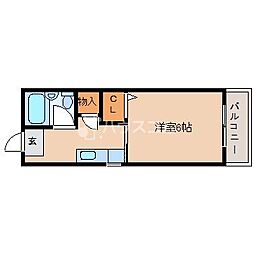 クイーン桜木