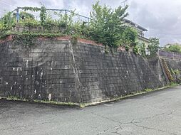 豊橋市一色町字天獏　売地