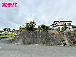 豊橋市一色町字天獏 売地