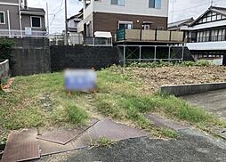 豊橋市三本木町字新東上　売地