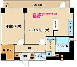 パラッツォロッサ 701