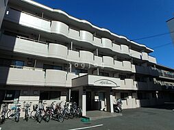 アルファコスモ