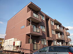 リヴィエールＹ・Ｓ 203