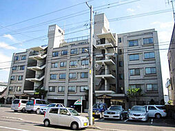 ライオンズヴィアーレ北大 104