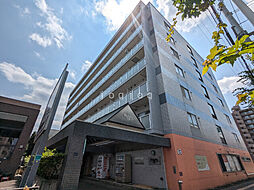 アルカディア33 502