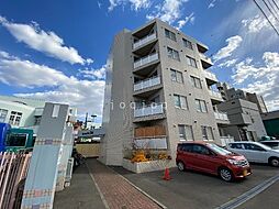 エレクトリシティ・ズイ 101