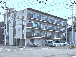 アズライトＮ17 307