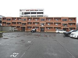 フィールド・ピア 101