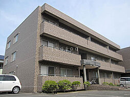 パープルサイド 202