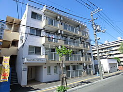 セントポーリアフラン 205