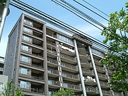 ＲＡＦＩＬＩＡ　ＳＡＰＰＯＲＯ（旧ティアラＷ7） 901