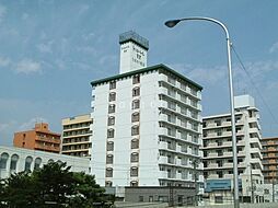 ドミローレル第8 706