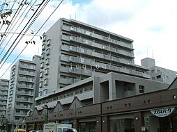 クリオ行啓通参番館 307
