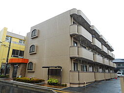 エレガンスライム 202