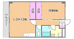 ニューマリッチ雄