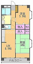 アベニュー