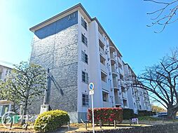 藤阪ハイツA1　中古マンション