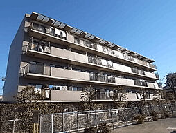 パークフィールド志木 202