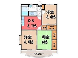 ユーミー若木