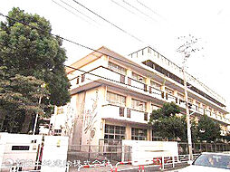 緑区白山4丁目 建築条件無し売地