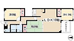 カーサソロチョウ