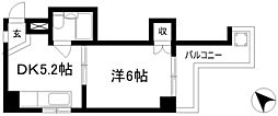 千早ハイリス