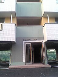 フォルテシムラB 208