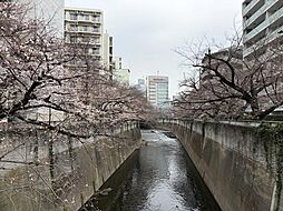 新宿区西早稲田３丁目