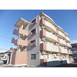 ミオスタンザ 405