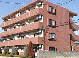 ペティート 301