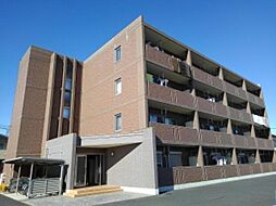 フォレストリバー 303