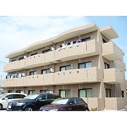 アヴァンツァーレ 203