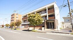 グラシオッソカツラ 102
