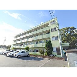 エバーグリーンフォーレスト