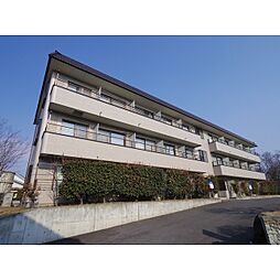 ラ・ヴィ・アン・ローズ