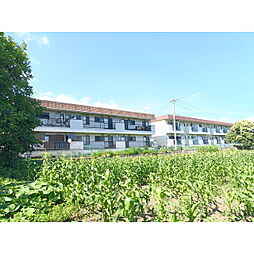 市村コーポ第一