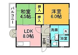 洋光ハイツ東雲 204