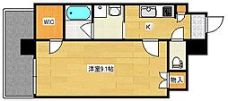 パレグレース中広 802