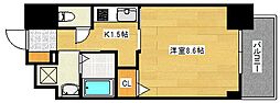 CASSIA河原町平和大通 1204