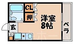 エミュ―III 203