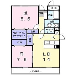 モデスト　コザカイ