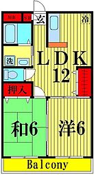 ワイズ