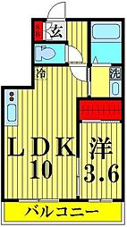 ｓhu　shu　cinque