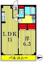アンプルール　フェール　ベルツリーIII